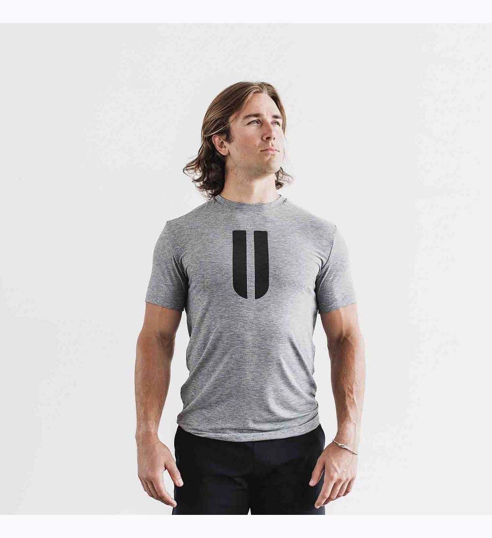 Men NOBULL Horns T-Shirt Heather Grey | MSGVI-5687